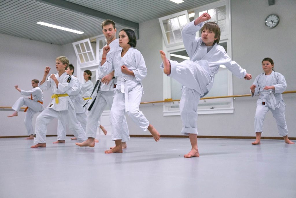 Karate Hoorn