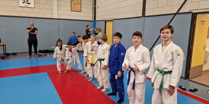Team Budosport stevig op de tweede plek na een strijdlustige judodag