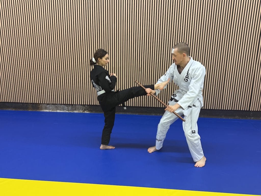 Wauw! Geweldige Hanbo Jitsu Stage