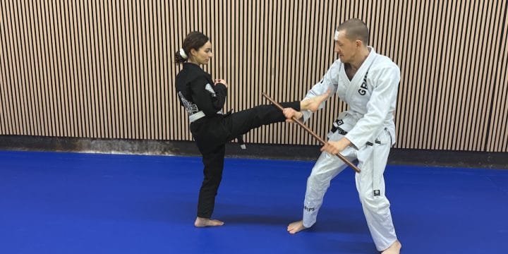 Wauw! Geweldige Hanbo Jitsu Stage