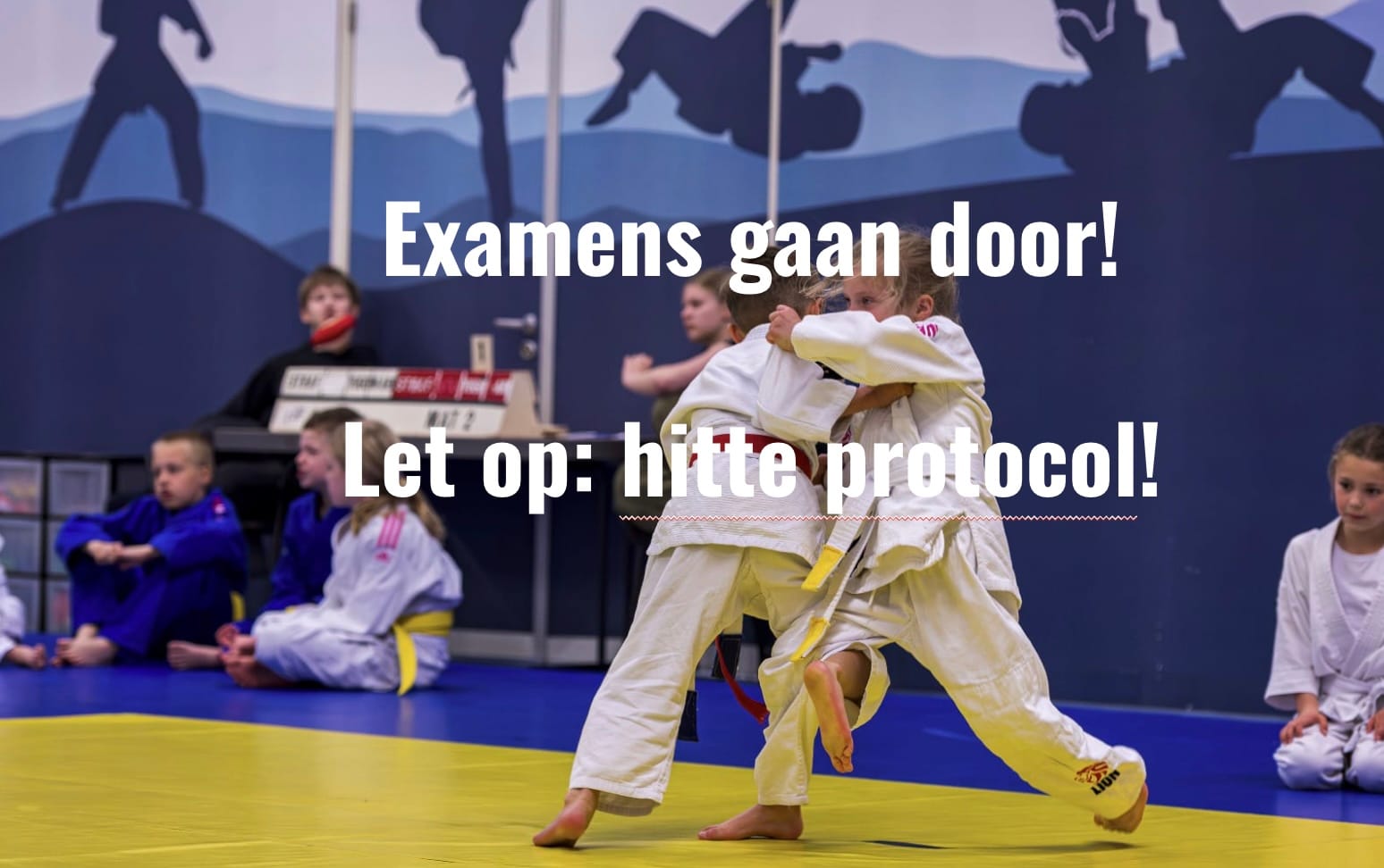 Judo examens gaan door, met aangepaste maatregelen vanwege de warmte